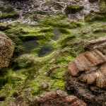 Rocks at the beach