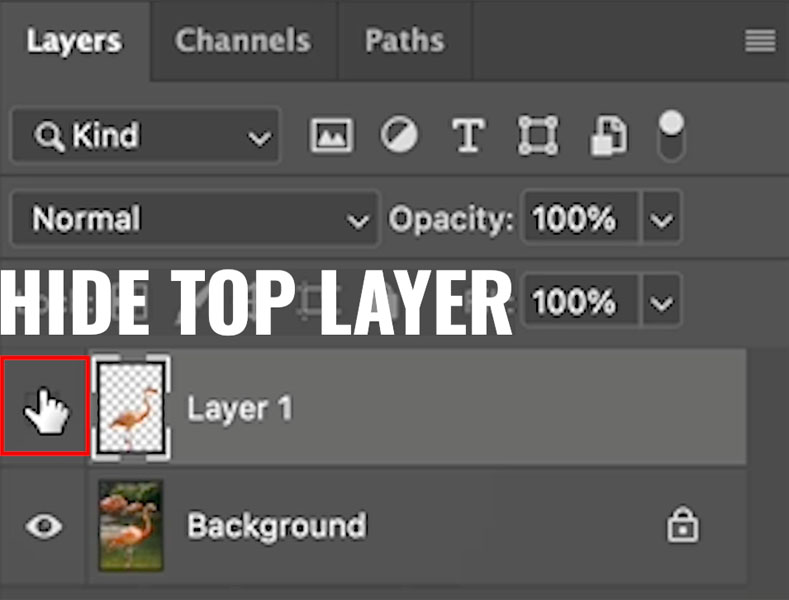 copy selection to a different layer