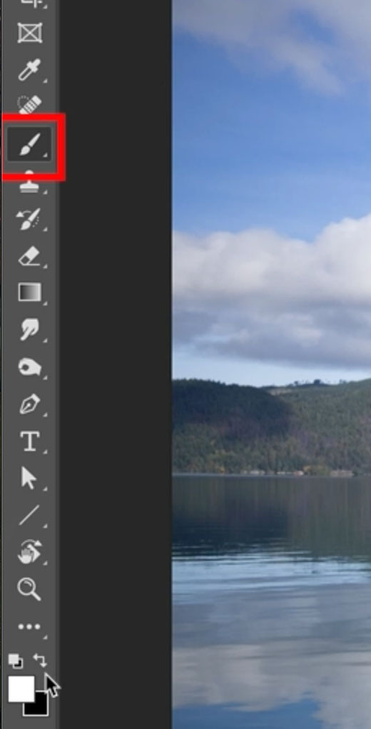 choose the brush tool in photoshop